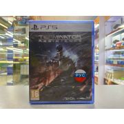 TERMINATOR: RESISTANCE [PS5, русские субтитры] открытый