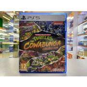 Teenage Mutant Ninja Turtles: The Cowabunga Collection [PS5, английская версия]